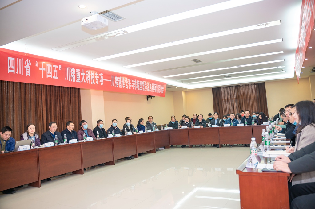 news01.jpg news01.jpg